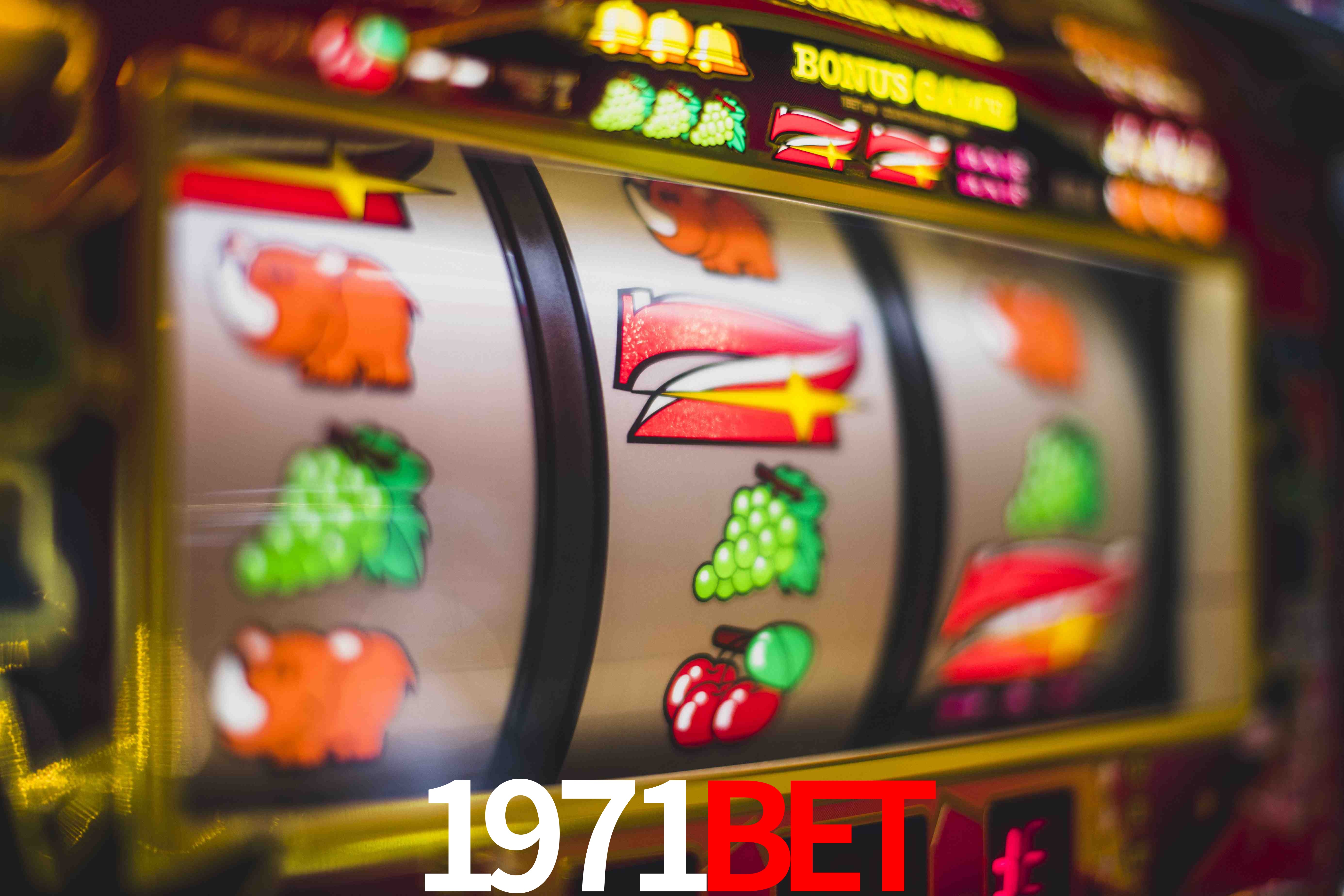 Basketball Betting 1971bet